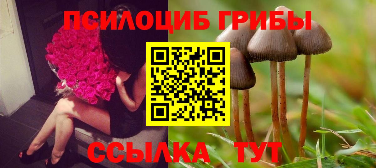 Псилоцибиновые грибы ЛСД  Галлюциногенные грибы мухоморы  Нефтеюганск  Вход с VPN 